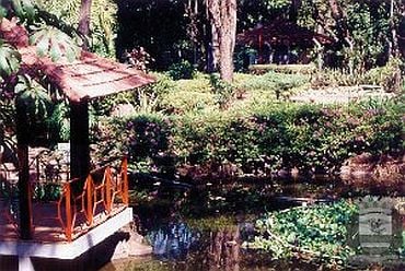Imagem de destaque para Jardim Japonês